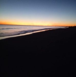 Meet your Posher, Cleo